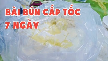 Bài Bún Cấp Tốc Câu Cá Tra 7 Ngày | Câu Cá Hồ Dịch Vụ | Chung Nguyễn Fishing