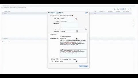 Reporting in Fusion OTBI on the previous 12 months and setup default report date parameters
