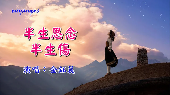 半生思念半生傷　金鈺晨（好聽） - 天天要聞