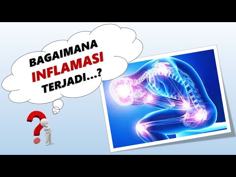 Video: Akar Heracleum Moellendorffii Menghalang Pengeluaran Mediator Pro-inflamasi Melalui Perencatan Isyarat NF-κB Dan MAPK, Dan Pengaktifan Isyarat ROS / Nrf2 / HO-1 Dalam RAW264.7 Sel