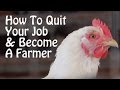 Quit Your Job and Farm - PART 1 - 10 Small Farm Ideas, from Organic Farming to Chickens & Goats.