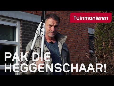 Wat doe je in februari in de tuin? | Februari | Tuinmanieren