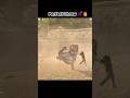 Sniper Elite 5 Epic Grenade Kills Explosive Gameplay 