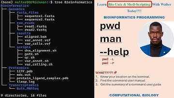 Linux for Bioinformatics: pwd, man, and help Commands Explained (Episode 01)