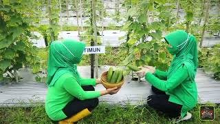 kegiatan berkebun prajurit tni dan Persit di markasnya