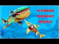 Hungry Shark World - Мелкие акулы крутые? Смотрим скины. Большеротый и Пилорот.