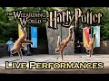 Wizarding World of Harry Potter LIVE Performances - Have You Seen Them All?