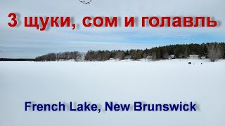 Ловля щуки на French Lake, New Brunswick. Март 2023.