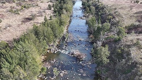 Lower Molonglo Water Quality Control Centre – Biological Monitoring Program
