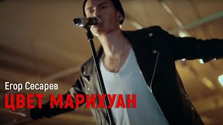Смотреть клип Егор Сесарев - Цвет Марихуан