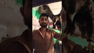 #tutorial #ai #new #future #trending #shortsfeed #explore #shorts #shortsviral #youtubeshorts #viral