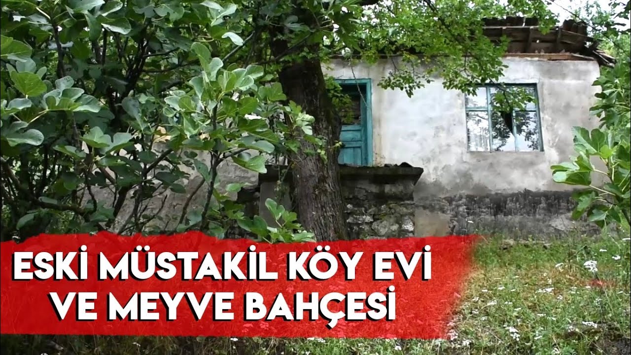 satilmistir kazdaglari nda mustakil koy evi ve meyve bahcesi 836 m2 youtube