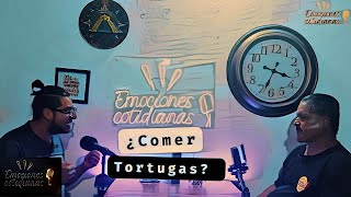 Emociones cotidianas Román ¿Comer Tortugas?