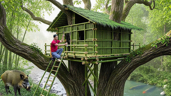 Building a Bamboo Shelter in a Tree - Survival Skills to Hide from Wild Animals