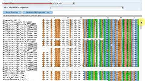 6/8 Align multiple sequences