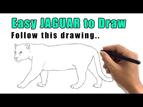 Video: Jaguar Nasıl çizilir