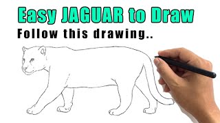 How to Draw a Jaguar With This Easy Jaguar Drawing Step by Step Sketch for Beginners
