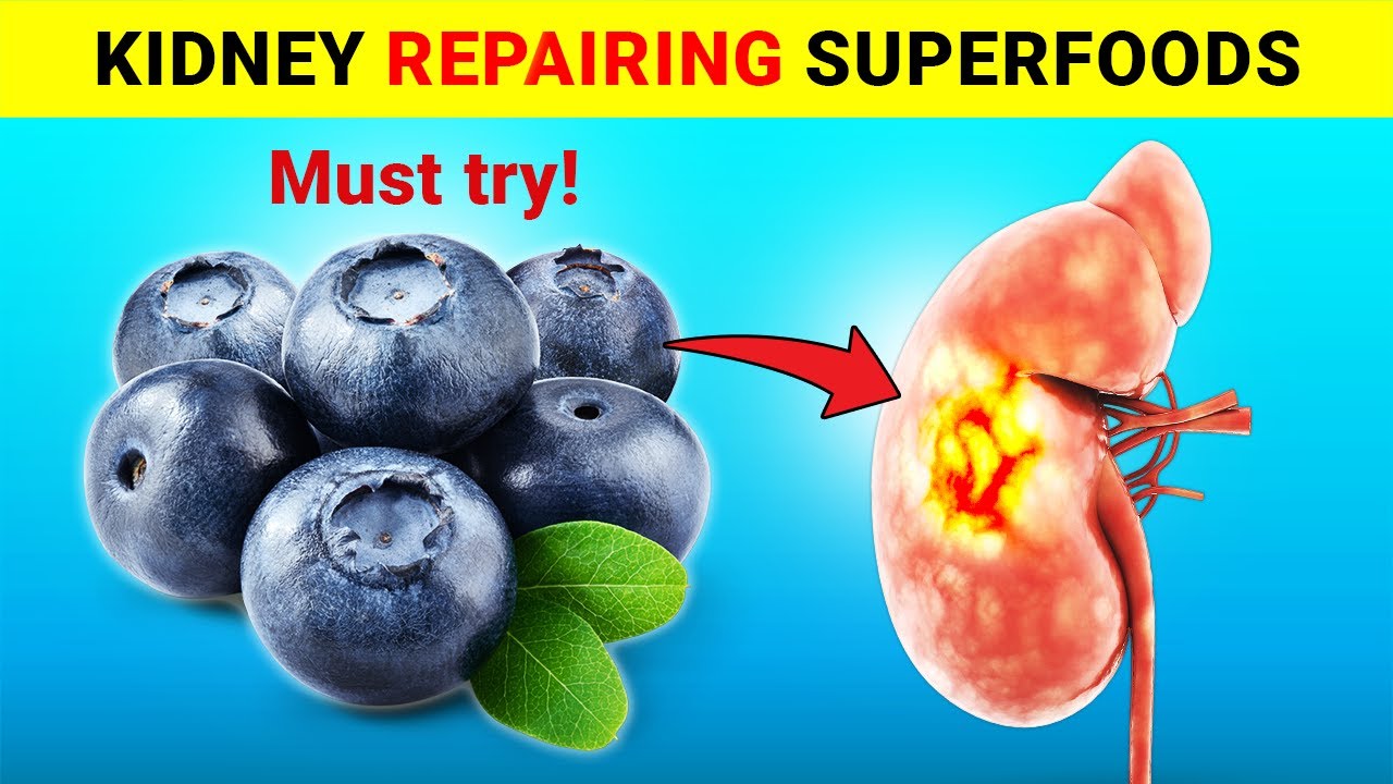Top 8 Superfoods to Heal Your Kidneys and Lower Blood Creatinine - YouTube