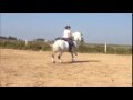 Petit Marc Aurel - training M/S Lektionen