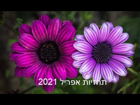 חיזוי אסטרו לאפריל 2021#אסטרולוגיה#חיזוי#עתיד#מזל