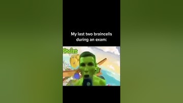 Pov: my last 2 brain cells during a exam