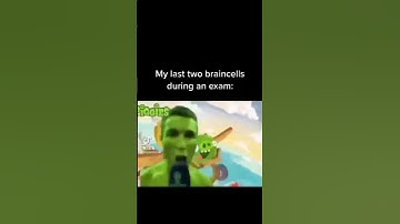 Pov: my last 2 brain cells during a exam