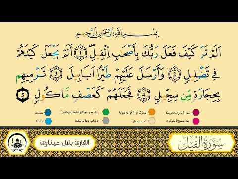 سورة الفيل برواية ورش عن نافع من طريق الأزرق بقصر البدل مصحف معلم القارىء الشيخ بلال عيناوي