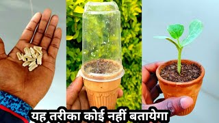 लौकी उगाने का सबसे आसान और तेज तरीका || Bottle gourd fast Growing Tips