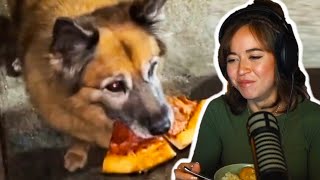 Maya Reacts To Unusual Memes Compilation V173