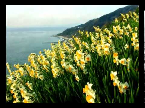 МУЗЫКА ВЕСНЫ. Music Sergey Chekalin. MUSIC OF SPRING. - YouTube