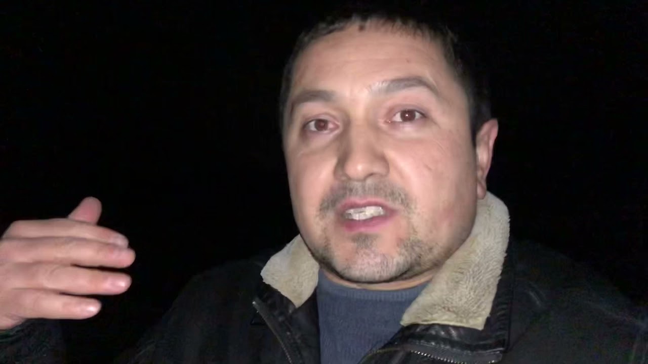 ДТП. Бык 🐂 Стал причиной дтп в Байдарской долине.