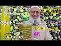 زيت الزيتون البكر الممتاز اليوم 29 01 2026 