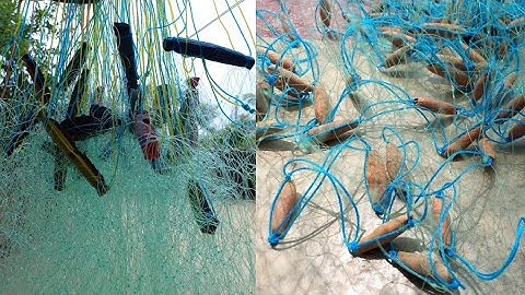 Special Gill Net Wholesale Price