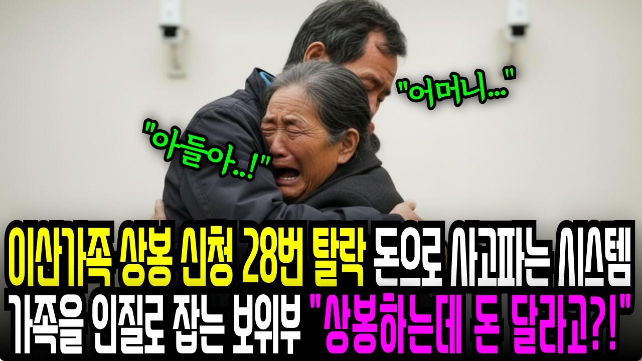 이산가족 상봉 신청 28번 탈락 돈으로 산 어머니와의 재회가족을 인질로 잡는 보위부 