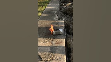 DJI Intellignet Flight Battery caught fire after getting wet