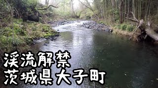 茨城県大子町での解禁早々の渓流釣り