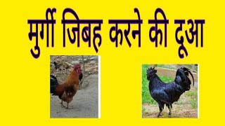 Murgi zibah karne ki dua