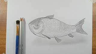 Fish(মাছ) Drawing Easy | how to draw fish from beginners//Step by step draw(2024)ARTIST ANTAR