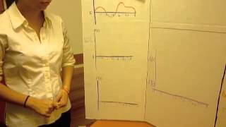 Calc Project - CSI: Orca