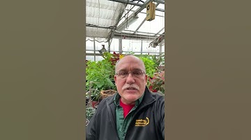 RMCTC - Horticulture (HRT) 2021 Virtual Open House