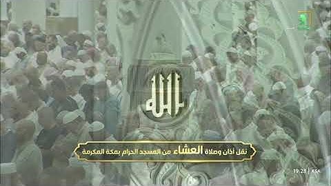 ما أجملها! تلاوة لسورة نوح كاملة للشيخ #بدر_التركي عشاء الأربعاء 27 ربيع الآخر 1446هـ
