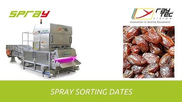 Spray color sorting dates | Raytec Vision