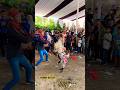 Kambing hebat dan pintar #shorts #kambing #kudarenggong