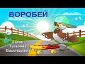 ВОРОБЕЙ Видео стихи Татьяны Васенцевой