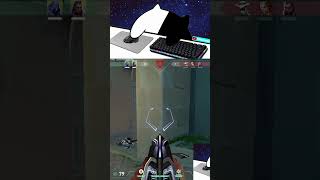 #valorant #clutchmoments #valorantclips #gaming  #gamingcomunity #gamingfun #gamingenthusiast
