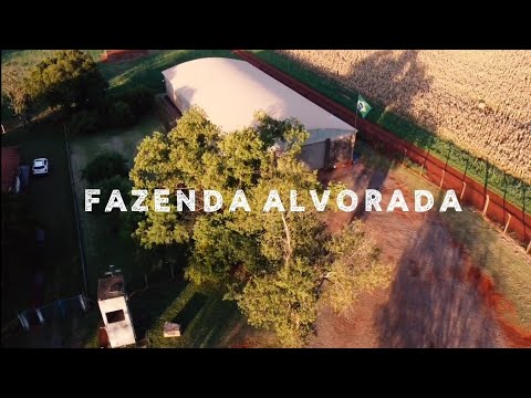 Fazenda Alvorada - Maringá-PR