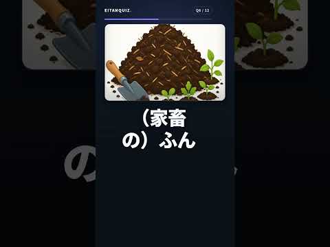 redwood の英単語解説動画