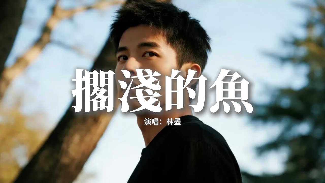 林墨 - 擱淺的魚『我躍出 了海面，只為看 你一眼，就算註定會承受 流淚的風險，我眺望 海平線。』【動態歌詞MV】
