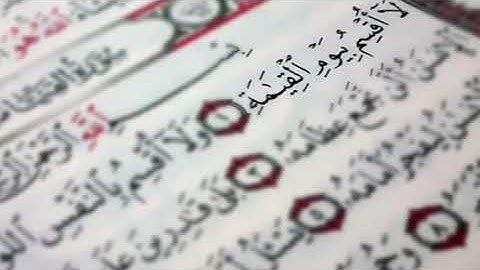سورة القيامة - الشيخ محمد هيثم منيني رحمه الله
