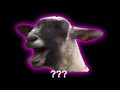 15 Screaming Goat Sound Variations in 30 Seconds